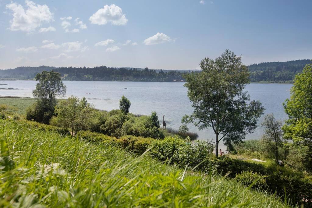 Duplex Le Reflet Du Lac Malbuisson Kültér fotó